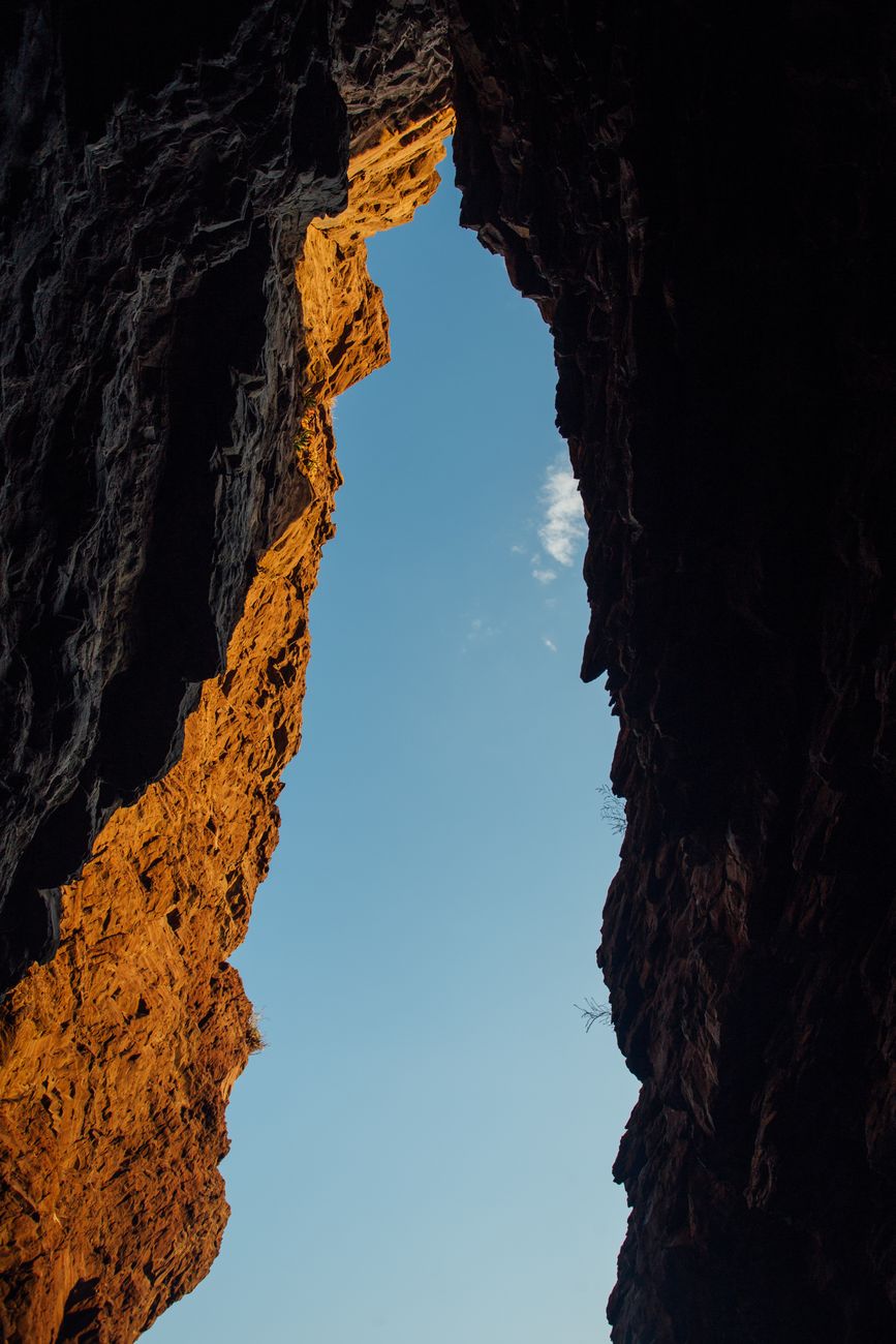 The Expertise Gap
